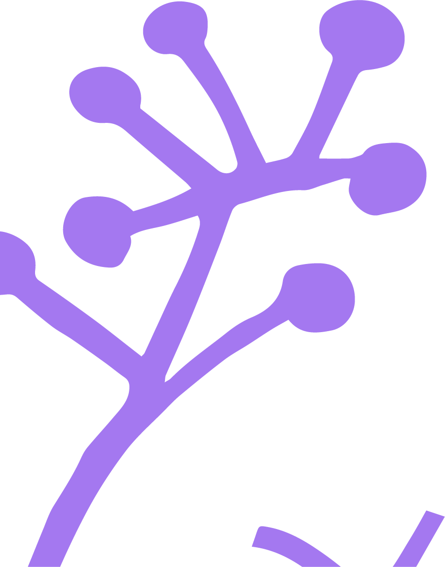 Fichier 31@2x Fichier 31@2x